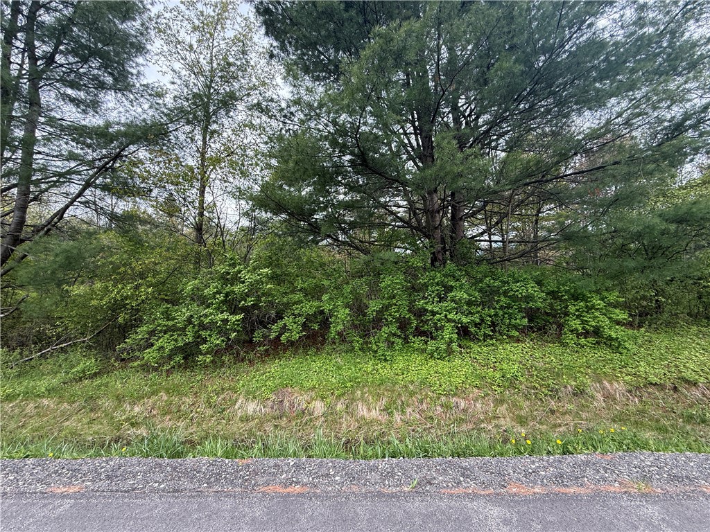 Caswell Road Freeville, NY 13068 - Photo 44 of 47