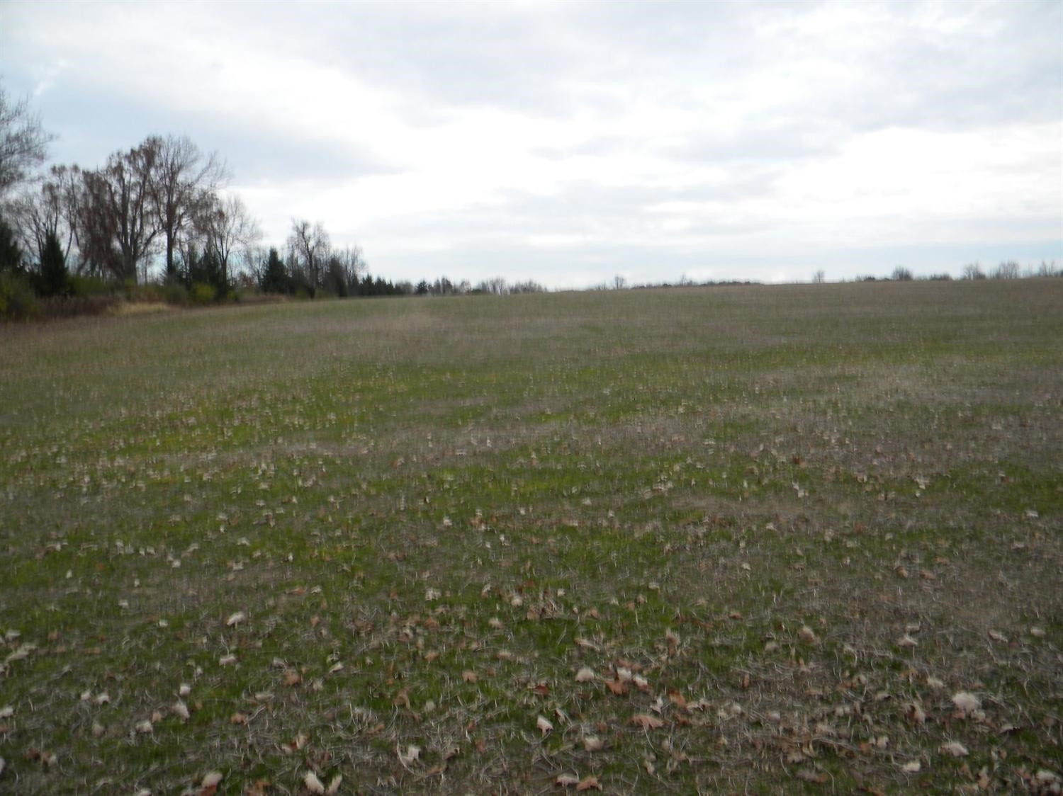 12901 Lima Centre Clinton, MI 49236 - Photo 3 of 5 Photo 3