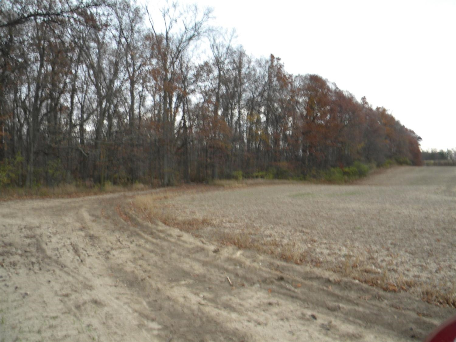 12901 Lima Centre Clinton, MI 49236 - Photo 4 of 5 Photo 4