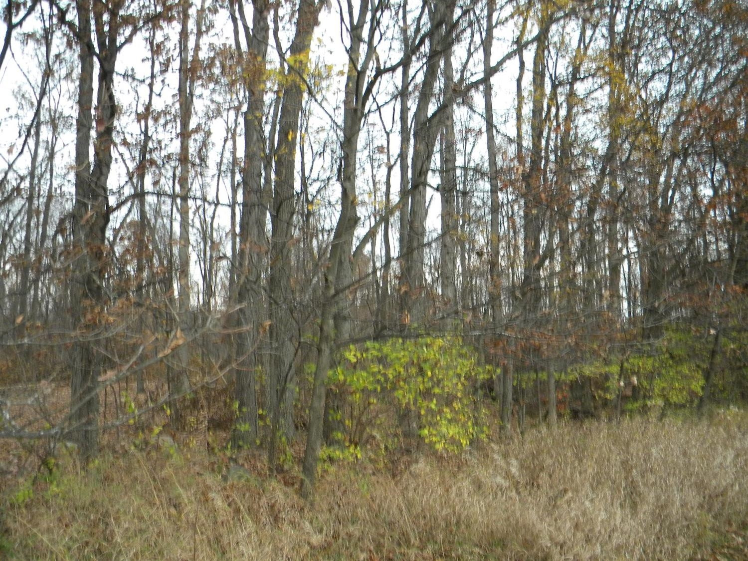 12901 Lima Centre Clinton, MI 49236 - Photo 5 of 5 Photo 5
