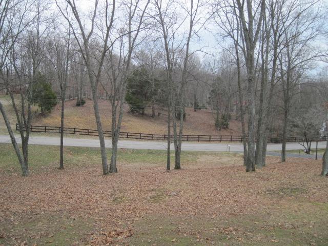 7398 King Road Fairview, TN 37062 - Photo 18 of 19 a view of a house with backyard