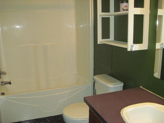 7398 King Road Fairview, TN 37062 - Photo 10 of 19 a bathroom with a toilet a sink and bathtub
