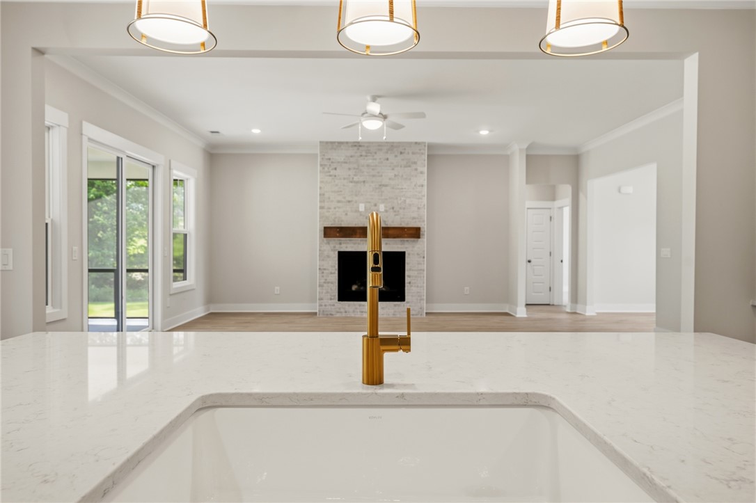 203 Timothy Court Anderson, SC 29621 - Photo 32 of 40 A lustrous golden faucet highlights a pristine countertop, overlooking an inviting living area with a fireplace.