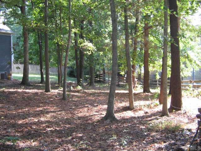 12121 Ranleigh Court Raleigh, NC 27613 - Photo 3 of 8 a view of a forest with trees