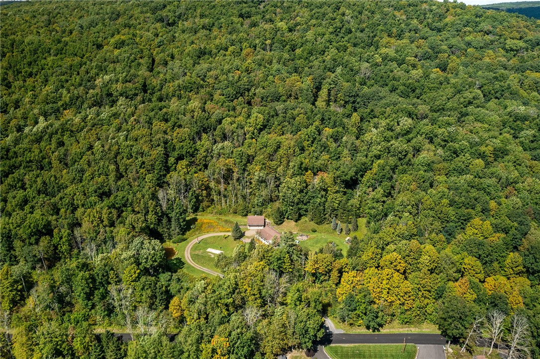679 West Kill Road Jefferson, NY 12093 - Photo 19 of 20 Gallery Image 19