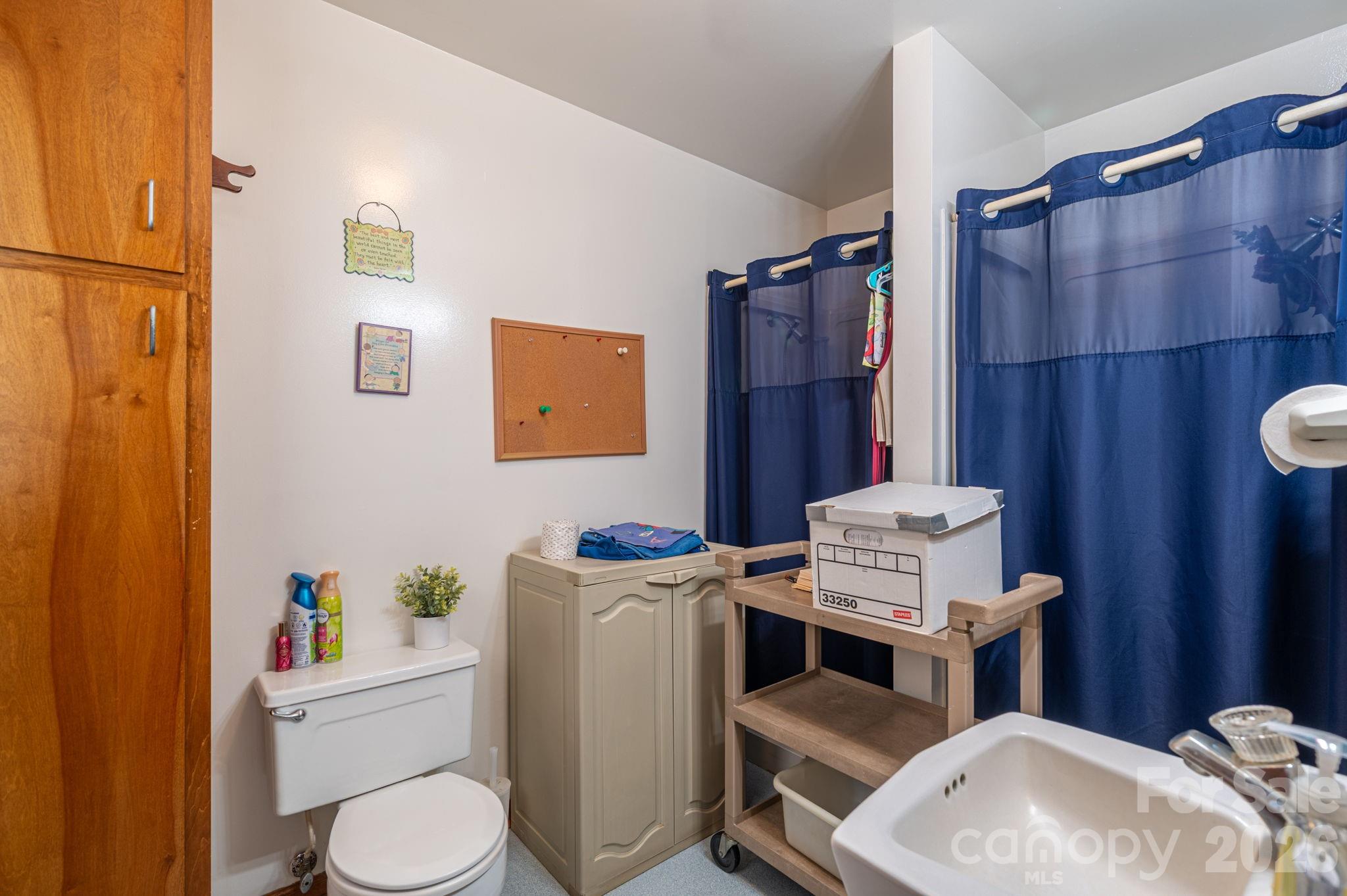 2482 June Bug Road Vale, NC 28168 - Photo 22 of 34 a bathroom with a sink toilet and shower
