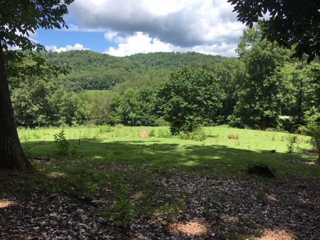 0 Leadmine Bend Road Sharps Chapel, TN 37866 - Photo 2 of 14 IMG_3620