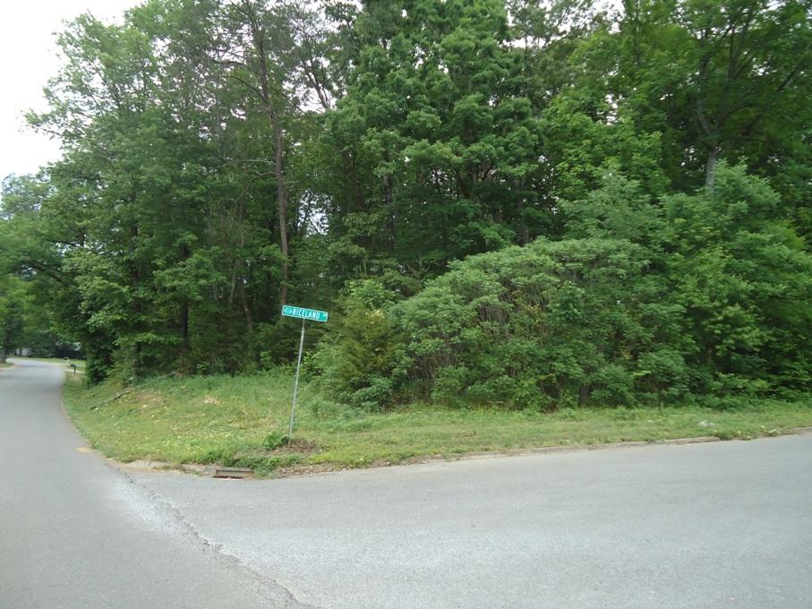 DSC07519