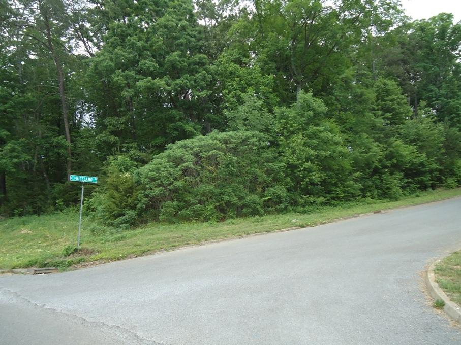 Lot 3 Denton Road Sevierville, TN 37862 - Photo 2 of 3 DSC07520