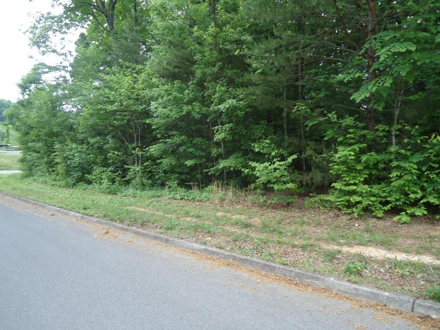 Lot 3 Denton Road Sevierville, TN 37862 - Photo 3 of 3 DSC07524