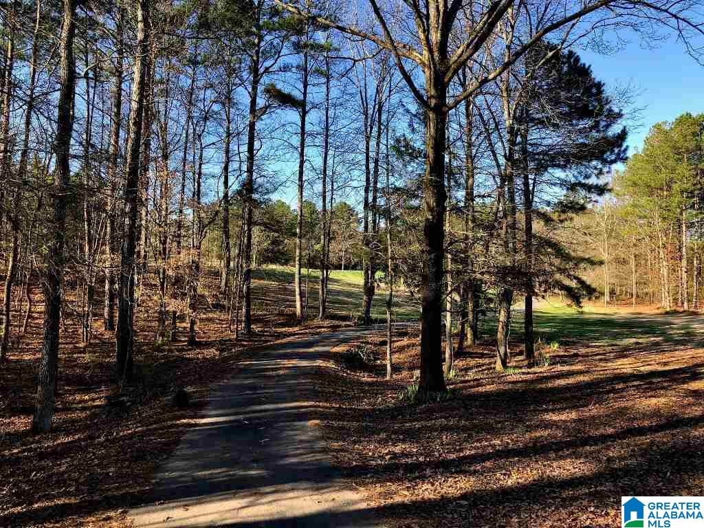 862 County Road 56 Wedowee, AL 36278 - Photo 25 of 25