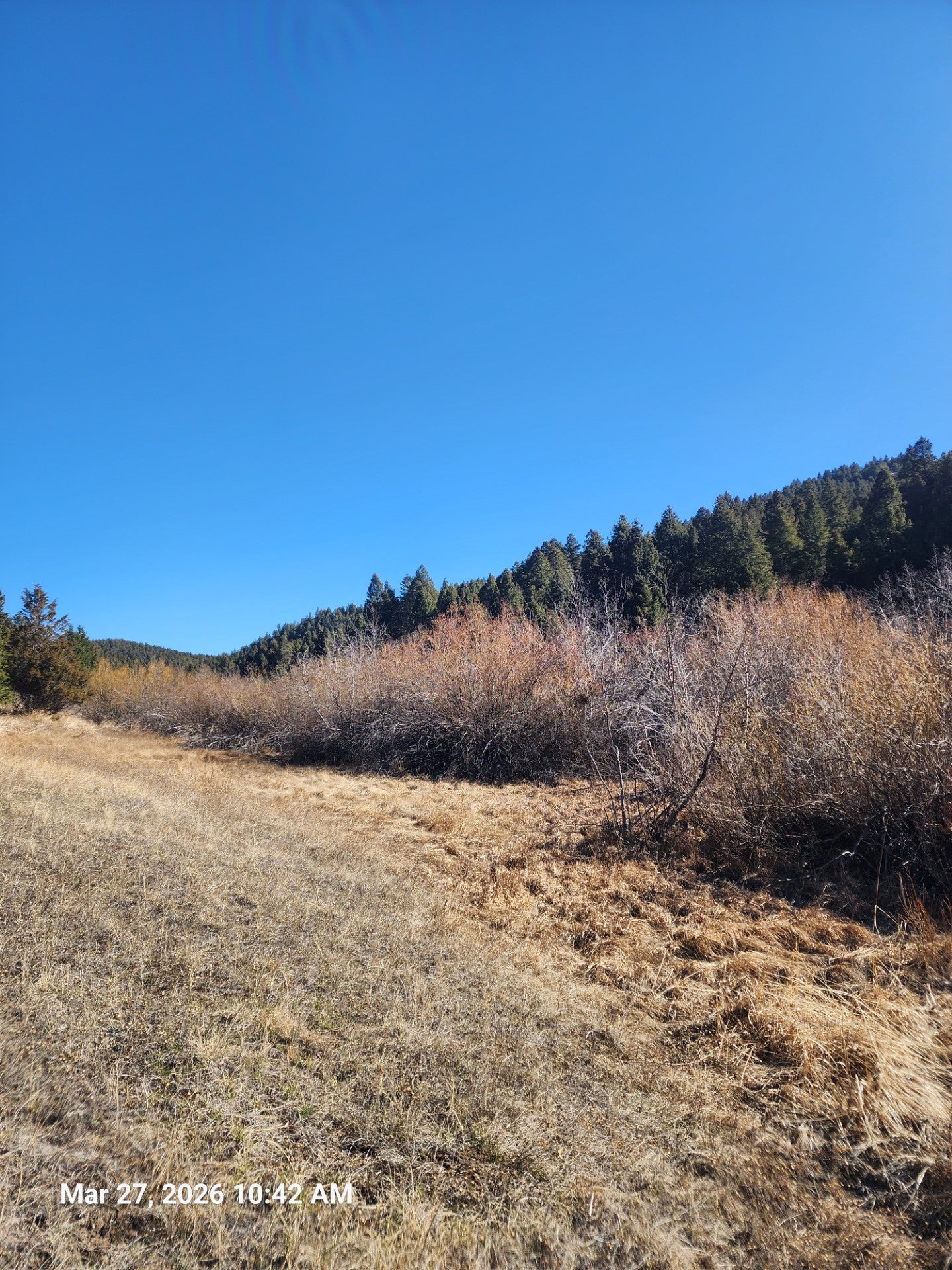 900 Flint Creek Road Ramsay, MT 59748 - Photo 29 of 29 Gallery Image 29