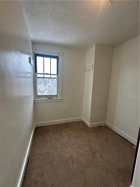 12 Elizabeth Street Pittsburgh, PA 15210 - Photo 24 of 32 an empty room with windows