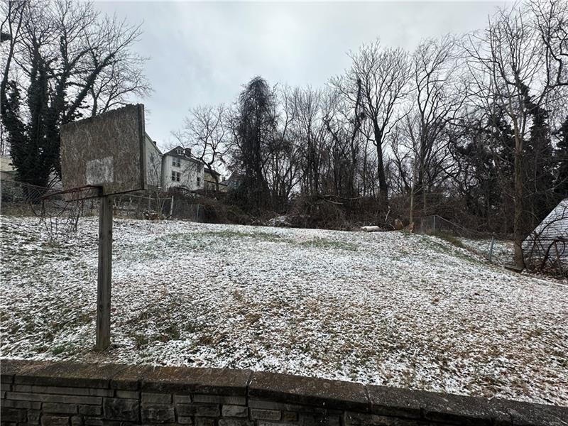12 Elizabeth Street Pittsburgh, PA 15210 - Photo 7 of 32 a view of a yard covered with snow