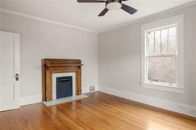 a view of a backyard with potted plants and large trees