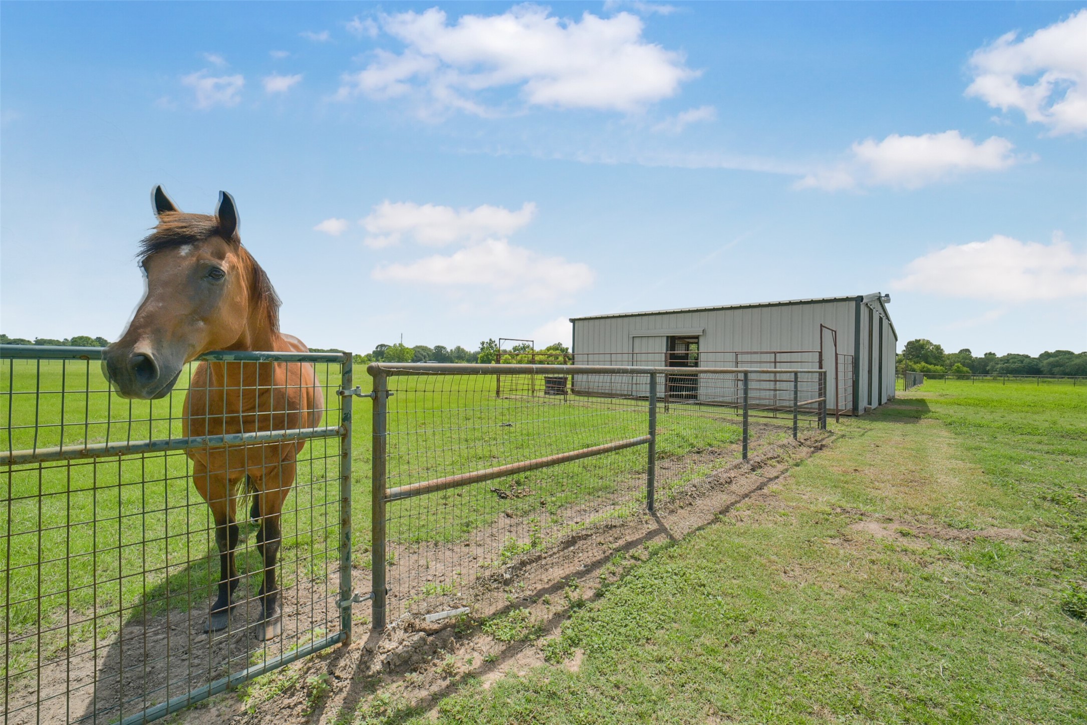 29103 Quail Nest Road Hockley, TX 77447 - Photo 26 of 49 Beautiful equestrian property