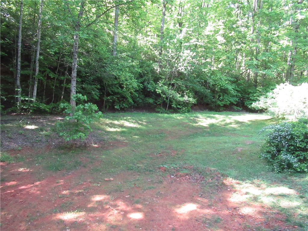 437 West Gate Road Pickens, SC 29671 - Photo 28 of 47 A tranquil wooded lot offers a peaceful retreat for outdoor living.