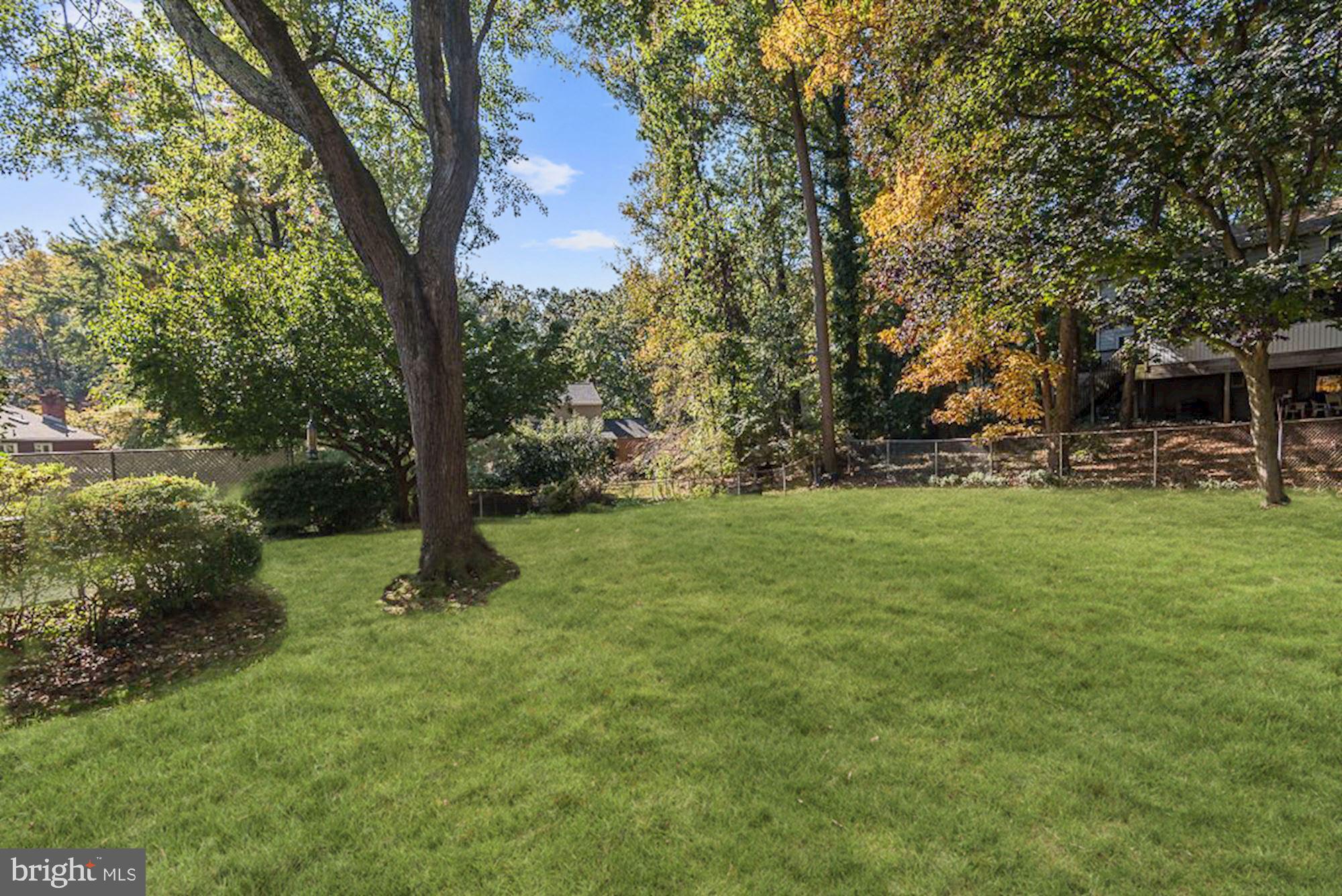 12508 Kuhl Road Silver Spring, MD 20902 - Photo 40 of 44 Backyard