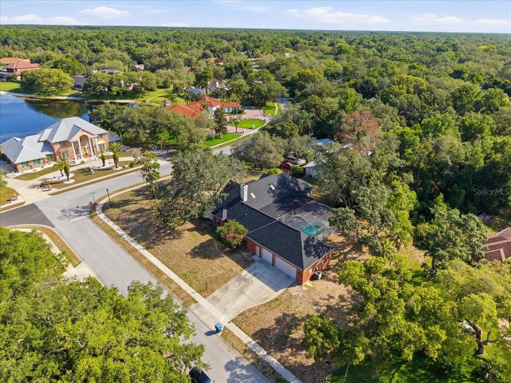 4558 Lake In The Woods Drive Spring Hill, FL 34607 - Photo 5 of 55