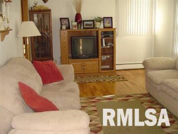 13754 Pittsburg Road Marion, IL 62959 - Photo 4 of 9 Gallery Image 4