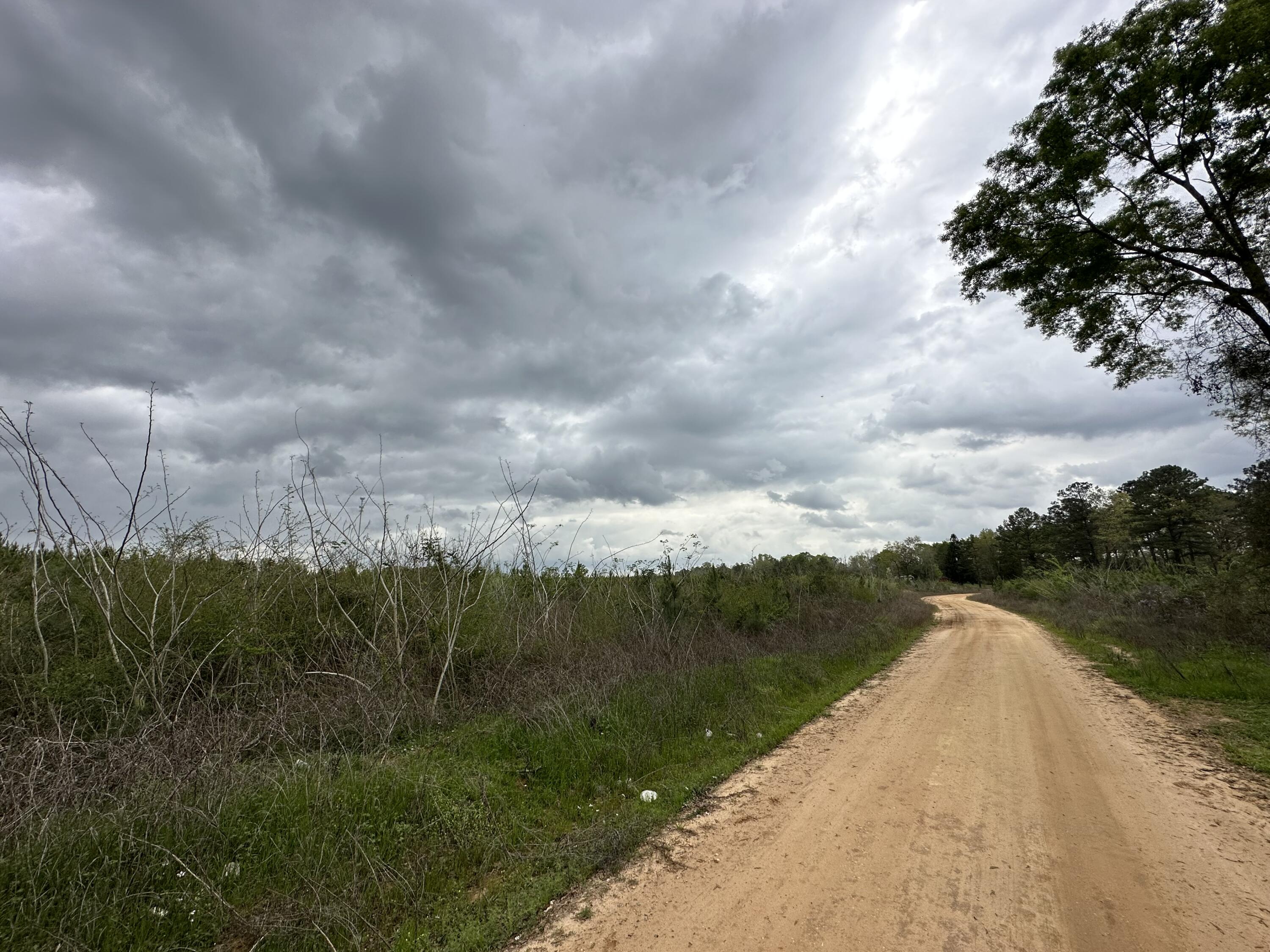 Tract#6103 Tract Road Red Level, AL 36474 - Photo 1 of 10 a view of a lake with a big yard