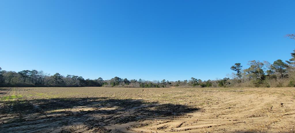 50.45-acres Trawick Road Dothan, AL 36301 - Photo 38 of 62
