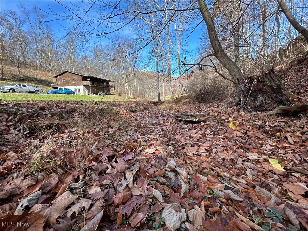 2886 Ossia Road Duck, WV 25063 - Photo 43 of 50