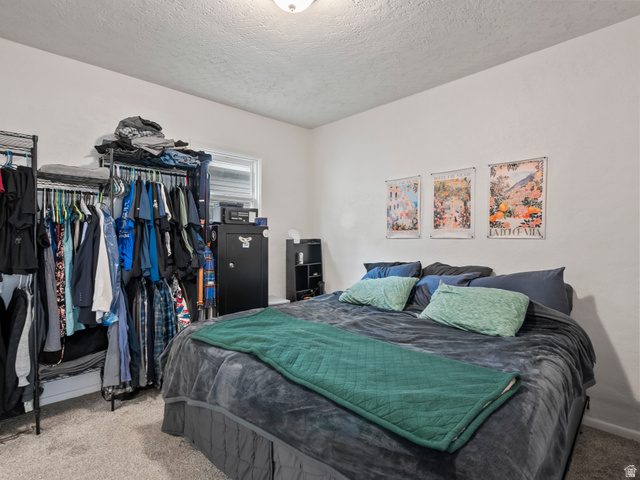 510 Canyon Road Ogden, UT 84404 - Photo 13 of 30 Bedroom with carpet floors and a textured ceiling