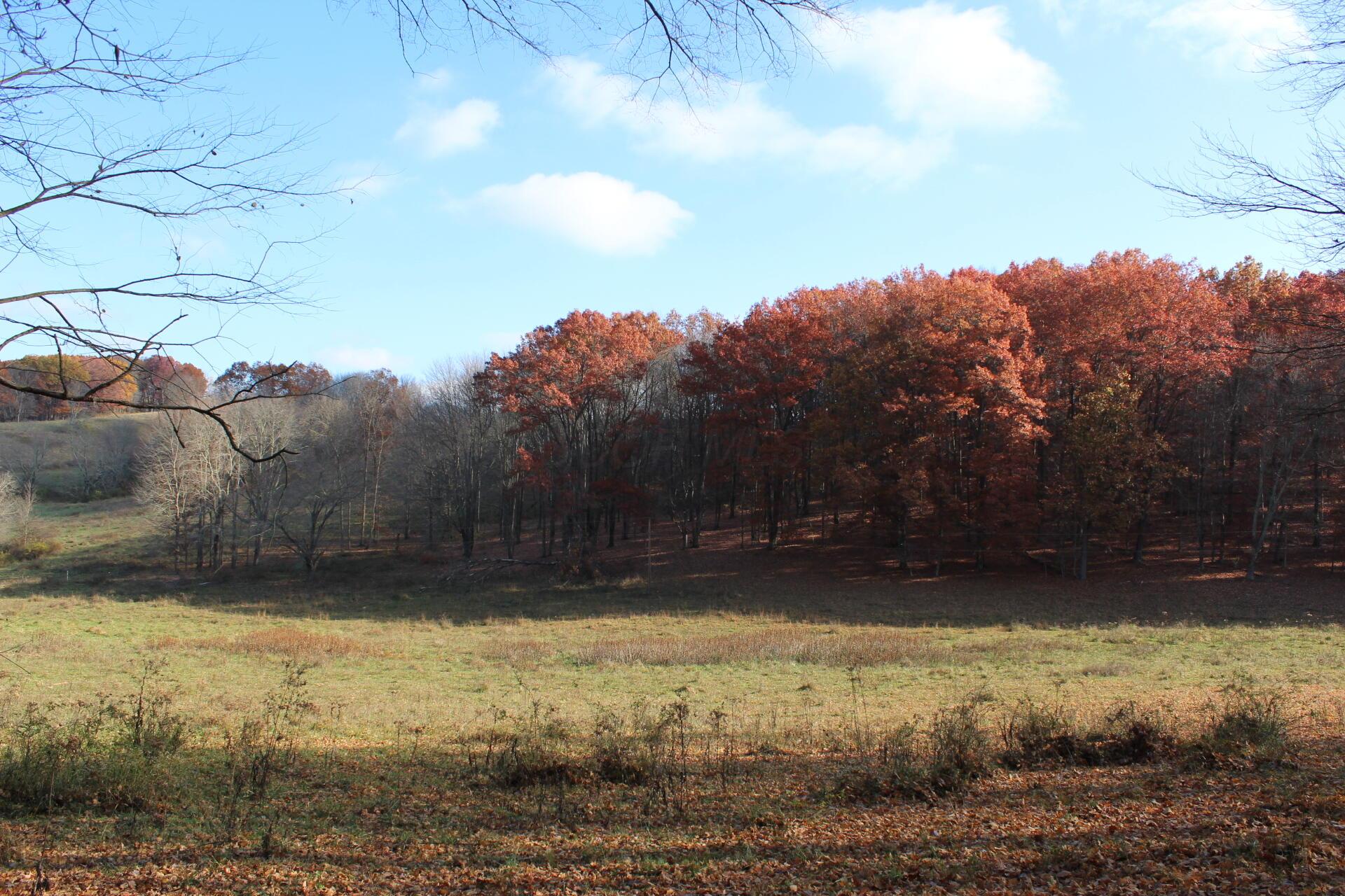 0 Beal Road Southeast, Unit TRACT 4 Newark, OH 43056 - Photo 42 of 48 IMG_6295
