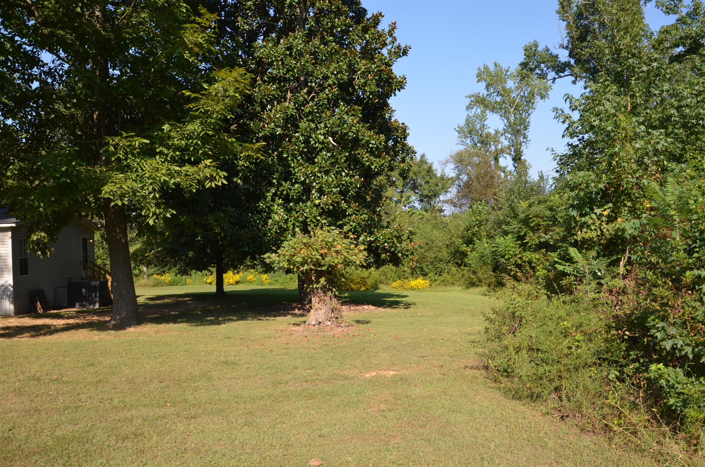 60 Lincoln Loop Road Flintville, TN 37335 - Photo 3 of 9 Gallery Image 3