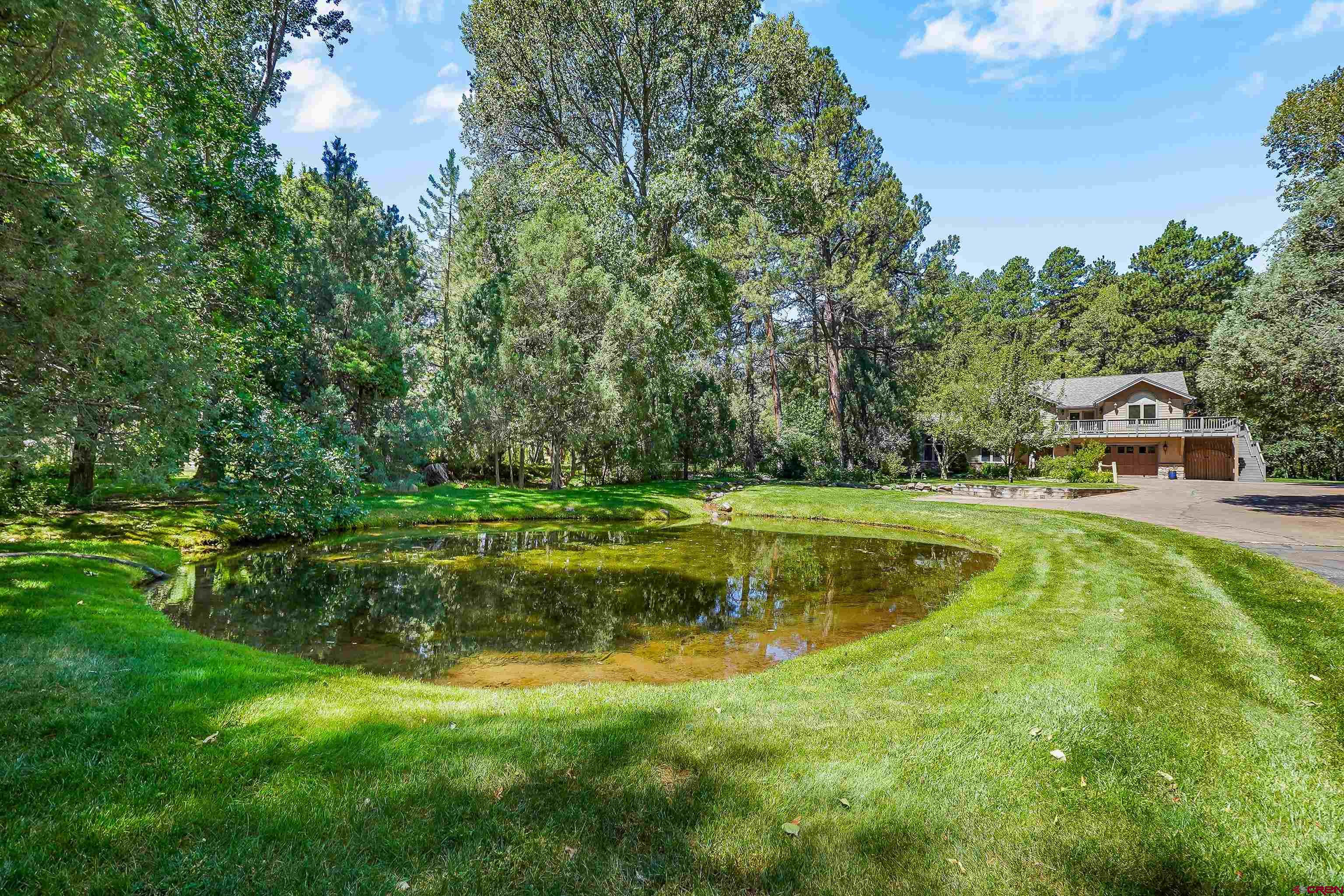 8243 County Road 203 Durango, CO 81301 - Photo 41 of 43