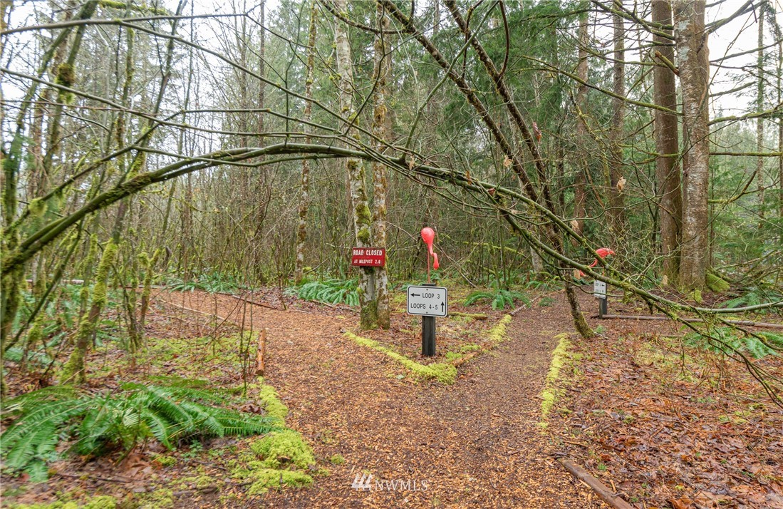 7635 Casey Road Maple Falls, WA 98266 - Photo 30 of 35 Gallery Image 30