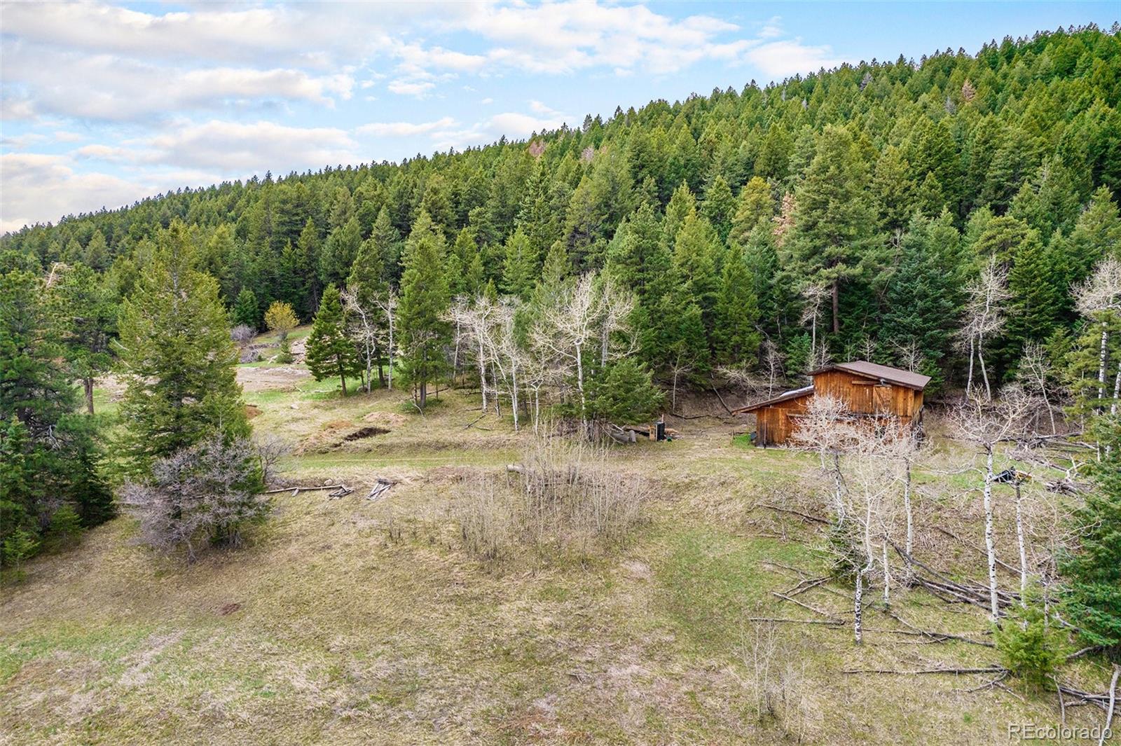 43 West Ranch Trail Morrison, CO 80465 - Photo 20 of 29 Gallery Image 20