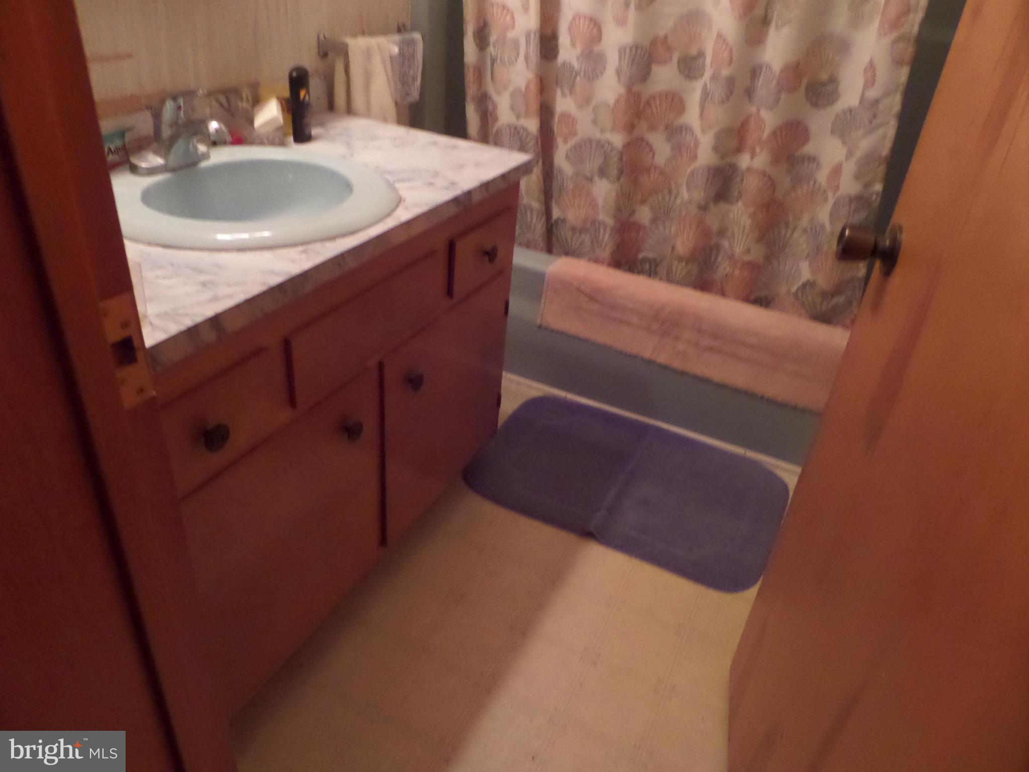 21240 Dover Bridge Road Preston, MD 21655 - Photo 11 of 13 a bathroom with a sink and a mirror