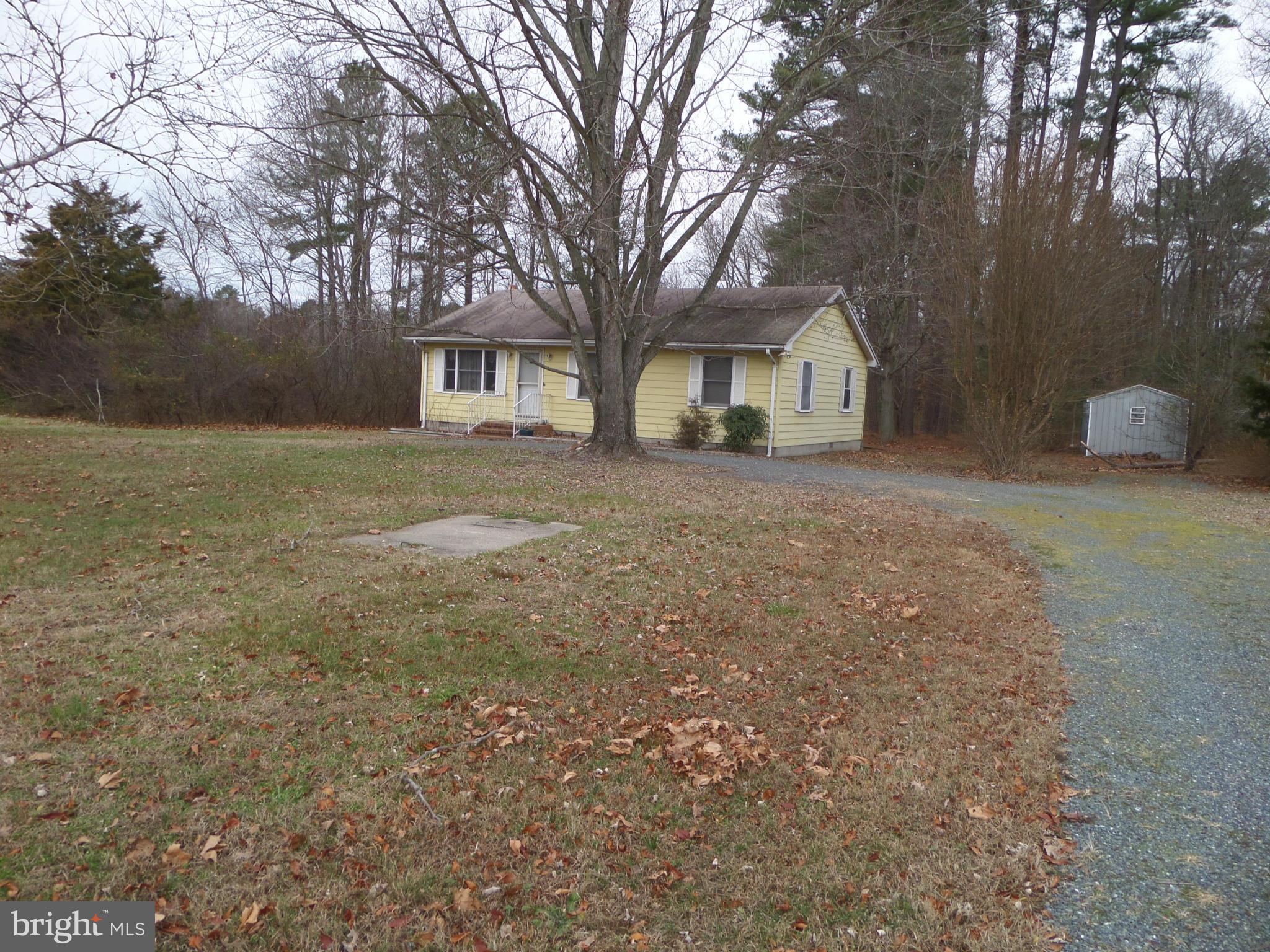 21240 Dover Bridge Road Preston, MD 21655 - Photo 2 of 13 a front view of a house with a yard and trees