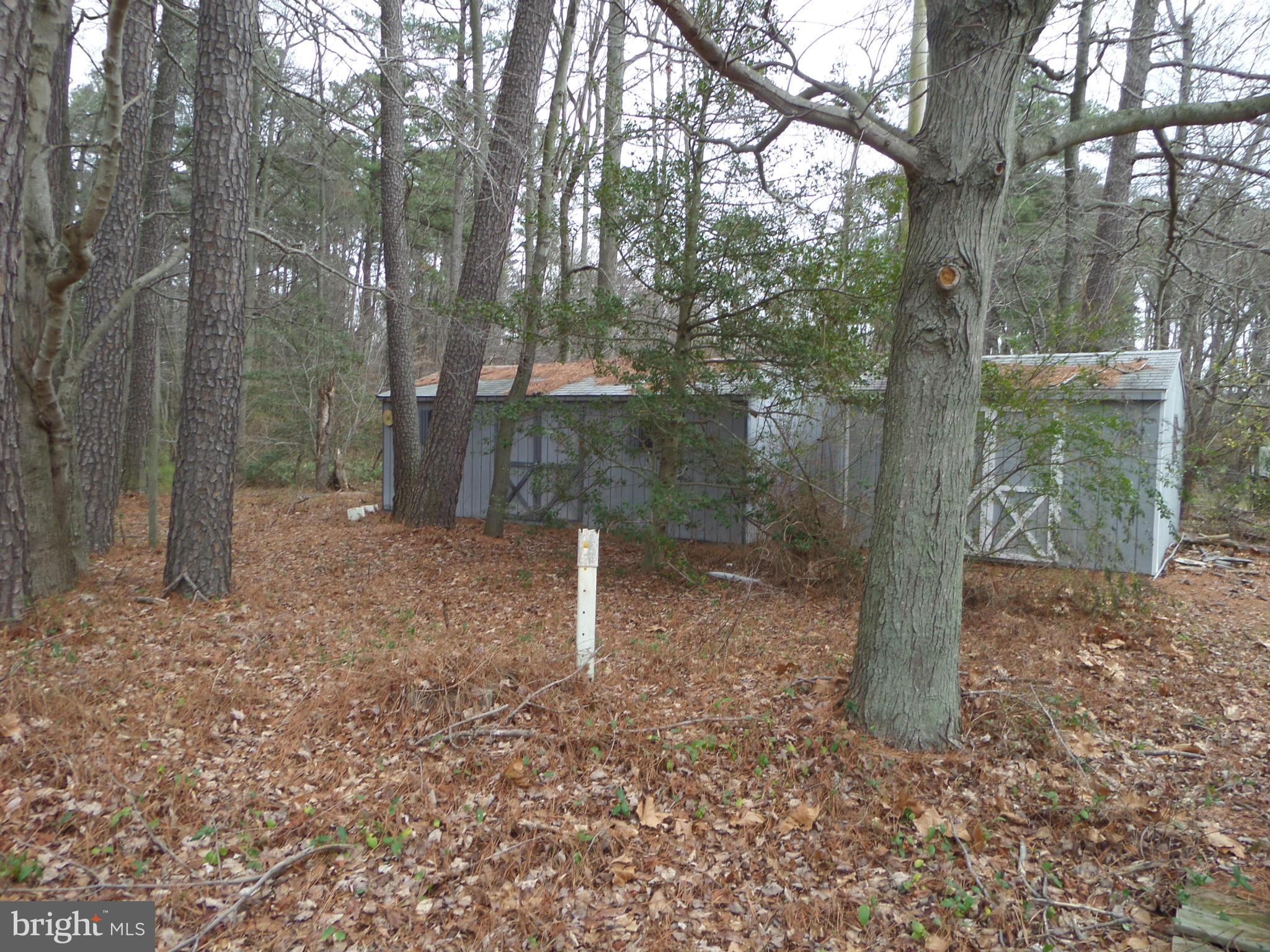 21240 Dover Bridge Road Preston, MD 21655 - Photo 6 of 13 a backyard of a house with lots of green space