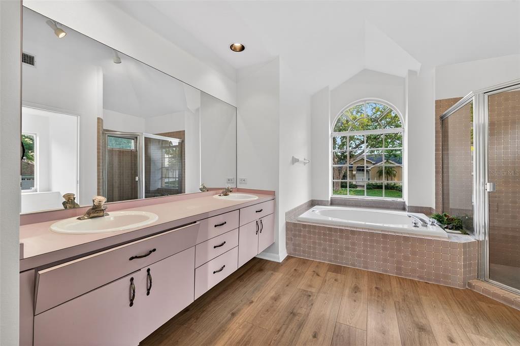 1819 Tree Swallow Way Palm Harbor, FL 34683 - Photo 19 of 39 a bathroom with a granite countertop tub sink and mirror