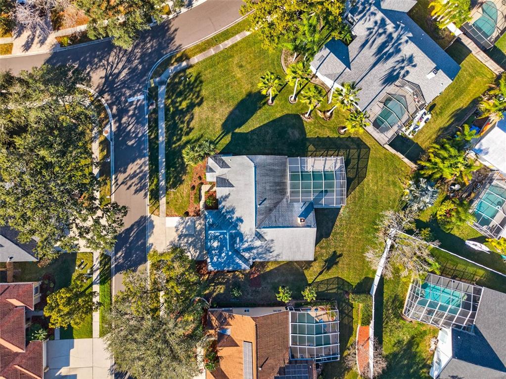 1819 Tree Swallow Way Palm Harbor, FL 34683 - Photo 36 of 39