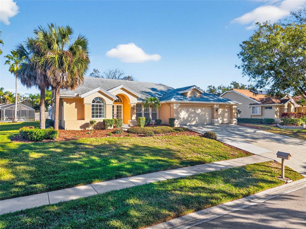 1819 Tree Swallow Way Palm Harbor, FL 34683 - Photo 37 of 37 a view of swimming pool with lawn chairs and plants