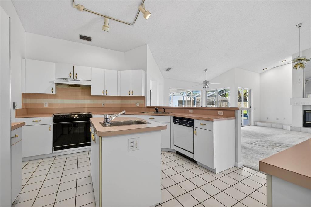 1819 Tree Swallow Way Palm Harbor, FL 34683 - Photo 9 of 37 a kitchen with a stove sink and cabinets