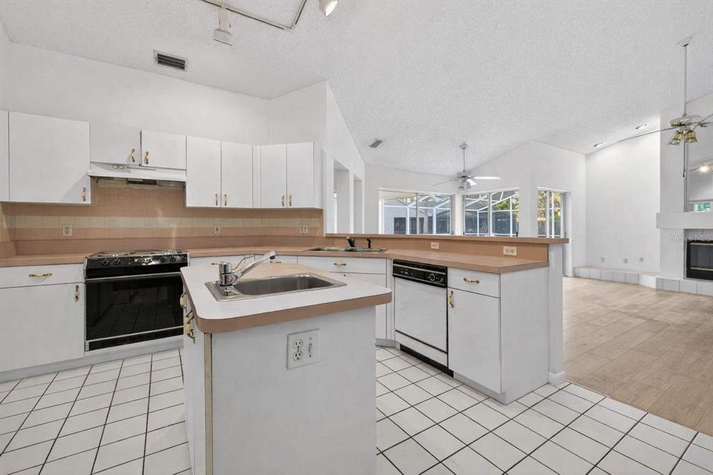 1819 Tree Swallow Way Palm Harbor, FL 34683 - Photo 10 of 39