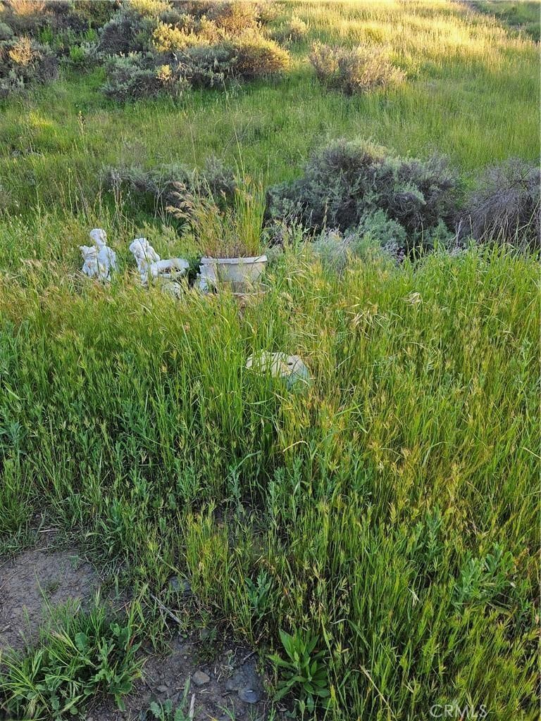 27375 Sycamore Mesa Road Temecula, CA 92590 - Photo 5 of 6 a view of a lush green space