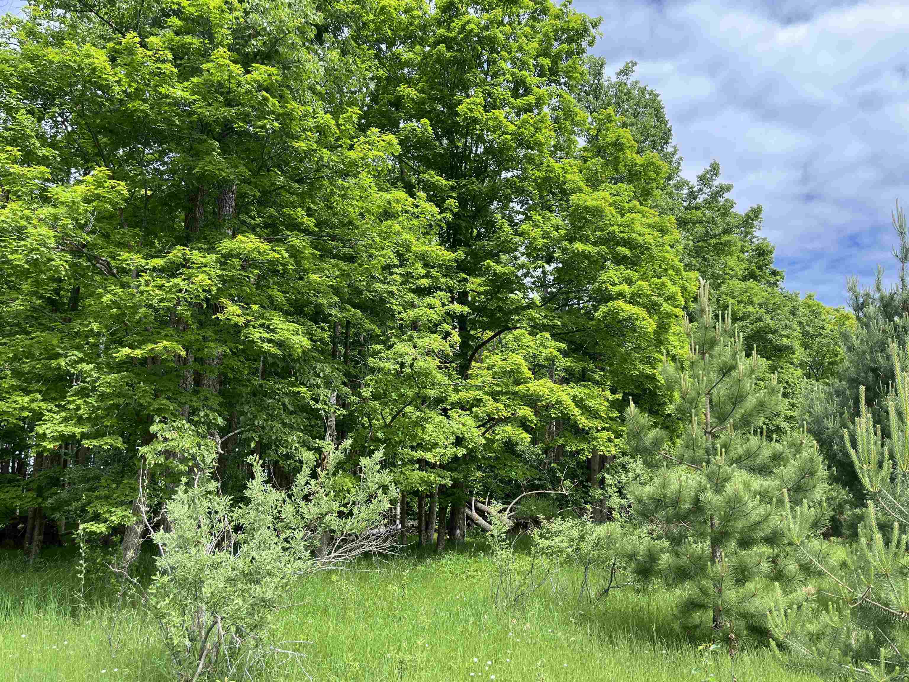 East Road Spalding, MI 49886 - Photo 4 of 4