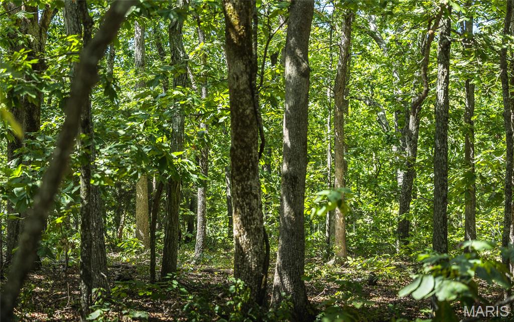 1 Buck Mountain Road Ironton, MO 63650 - Photo 8 of 12