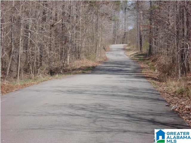 0 Waters Way, Unit LOT 41 Clanton, AL 35046 - Photo 4 of 9