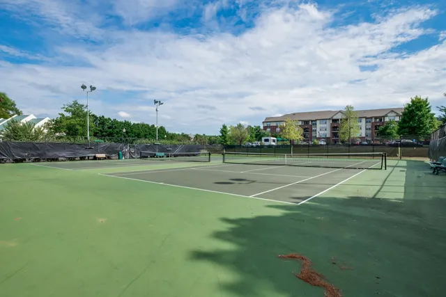 a view of a tennis ground with large trees