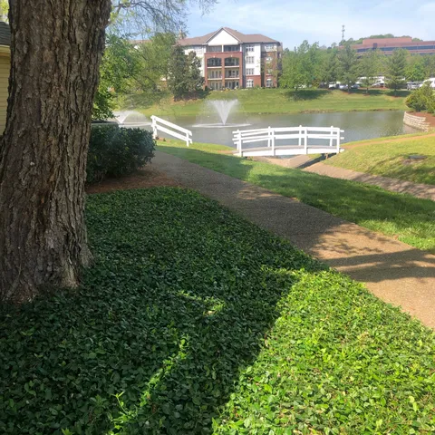a view of a lake with a big yard
