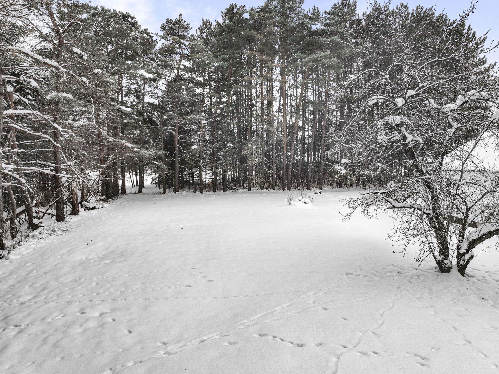 8274 30 3/4 Road Cadillac, MI 49601 - Photo 10 of 39