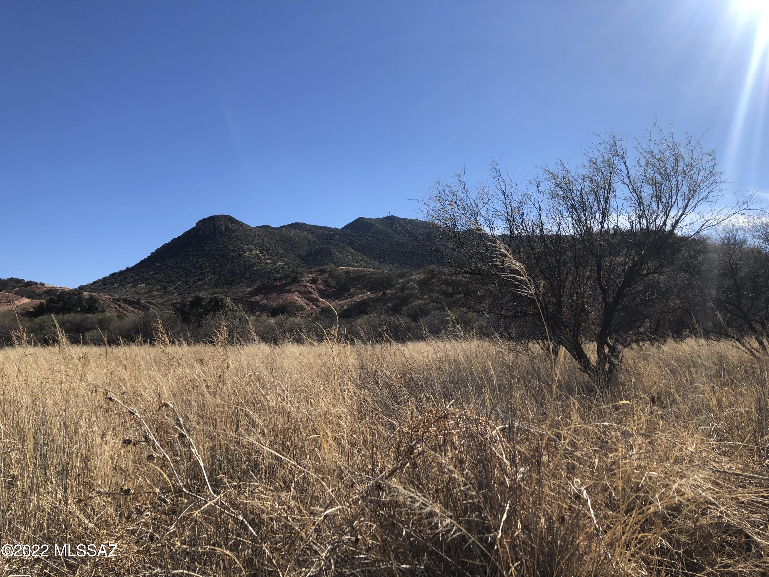 Tbd Harshaw Road Patagonia, AZ 85624 - Photo 5 of 8