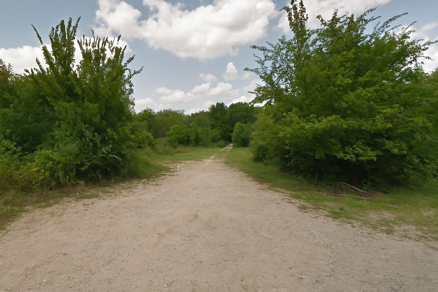 13200 Land Road Houston, TX 77047 - Photo 2 of 3 a view of a field with a tree